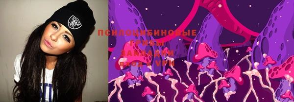 тгк Вяземский