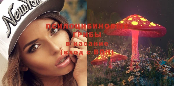 эйфоретик Волоколамск