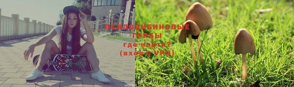 тгк Вяземский
