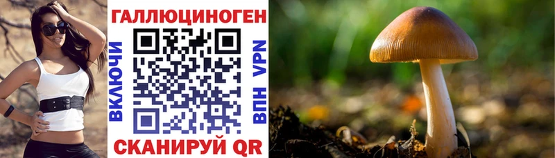 Псилоцибиновые грибы ЛСД  купить   Исилькуль 